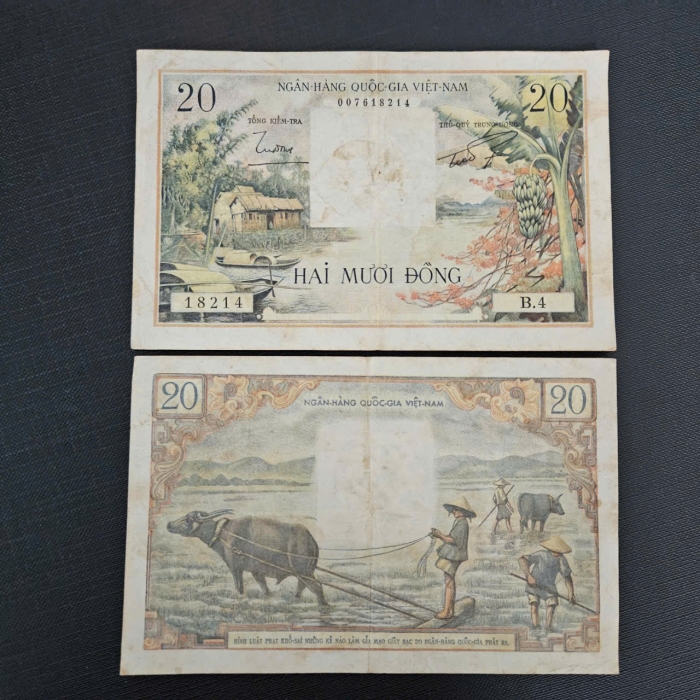 20 đồng bụi chuối - Việt Nam Cộng Hòa năm 1955