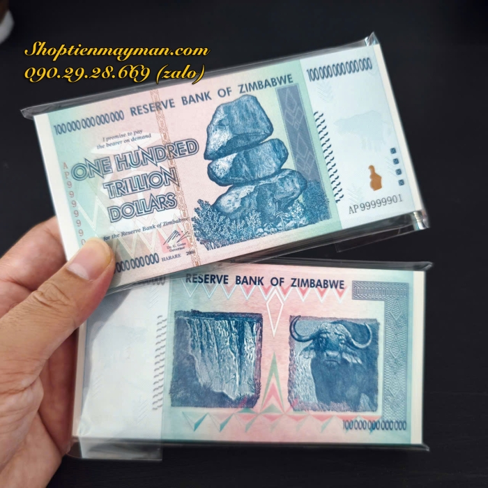 Tiền Lưu Niệm 100 Ngàn Tỷ Zimbabwe 