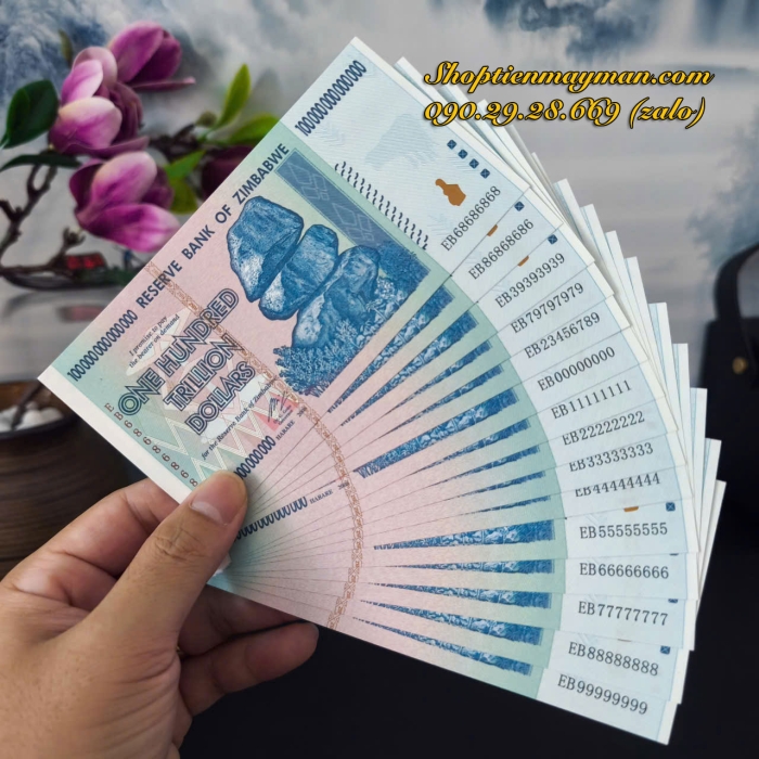 Tiền Lưu Niệm 100 Ngàn Tỷ Zimbabwe 