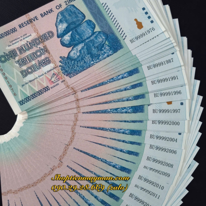 Tiền Lưu Niệm 100 Ngàn Tỷ Zimbabwe 